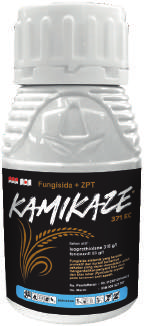 Kamikaze 371 EC