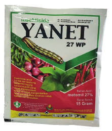 Yanet 27 WP